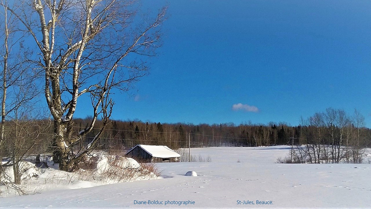 PHOTOS | L'hiver en Beauce dans toute sa splendeur (1 sur 5)