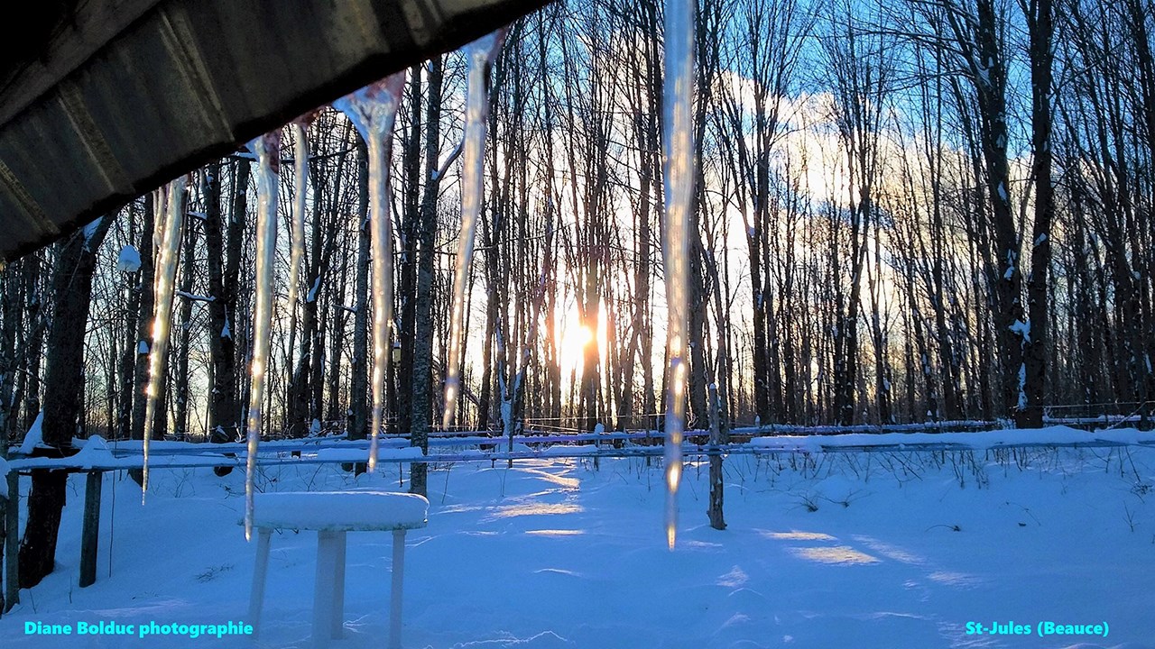 PHOTOS | L'hiver en Beauce dans toute sa splendeur (1 sur 5)