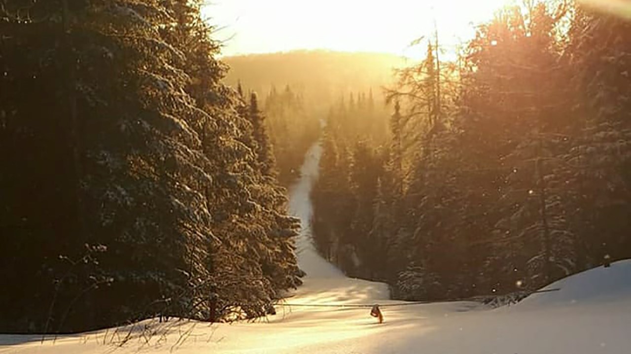 PHOTOS | L'hiver en Beauce dans toute sa splendeur (1 sur 5)