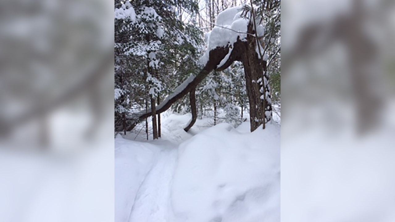 PHOTOS | L'hiver en Beauce dans toute sa splendeur (1 sur 5)