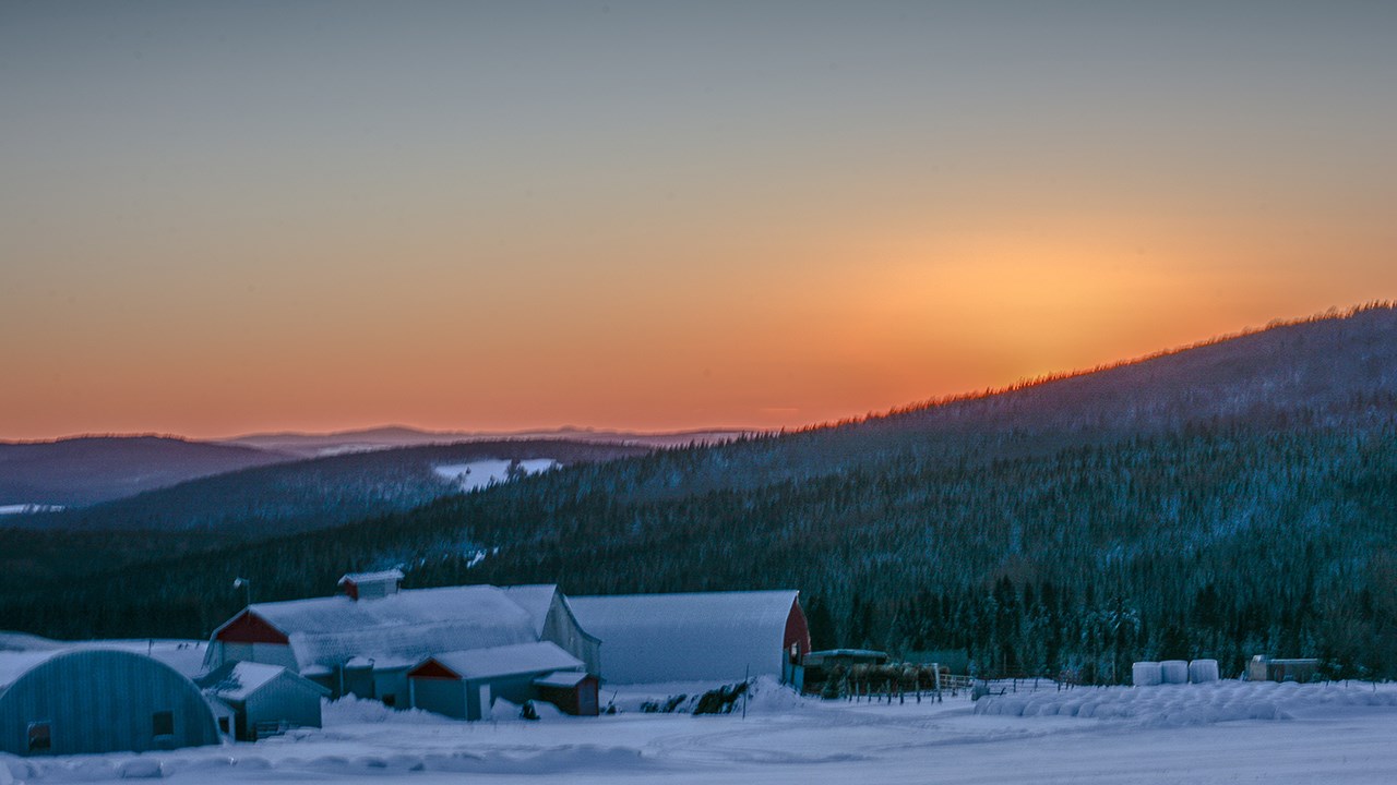 PHOTOS | L'hiver en Beauce dans toute sa splendeur (1 sur 5)