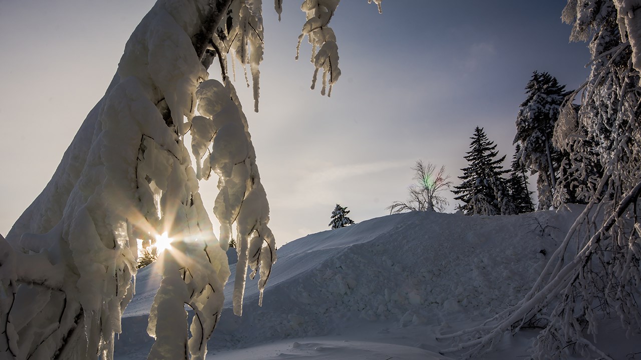 PHOTOS | L'hiver en Beauce dans toute sa splendeur (1 sur 5)