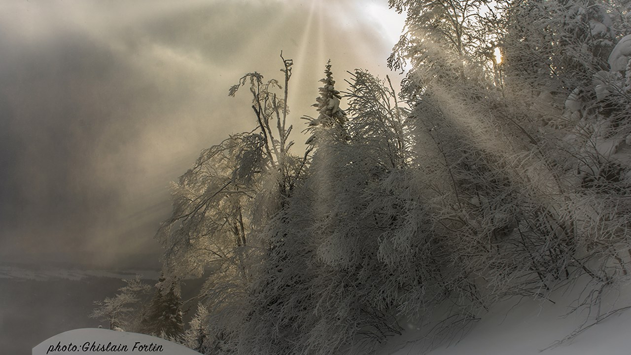 PHOTOS | L'hiver en Beauce dans toute sa splendeur (1 sur 5)