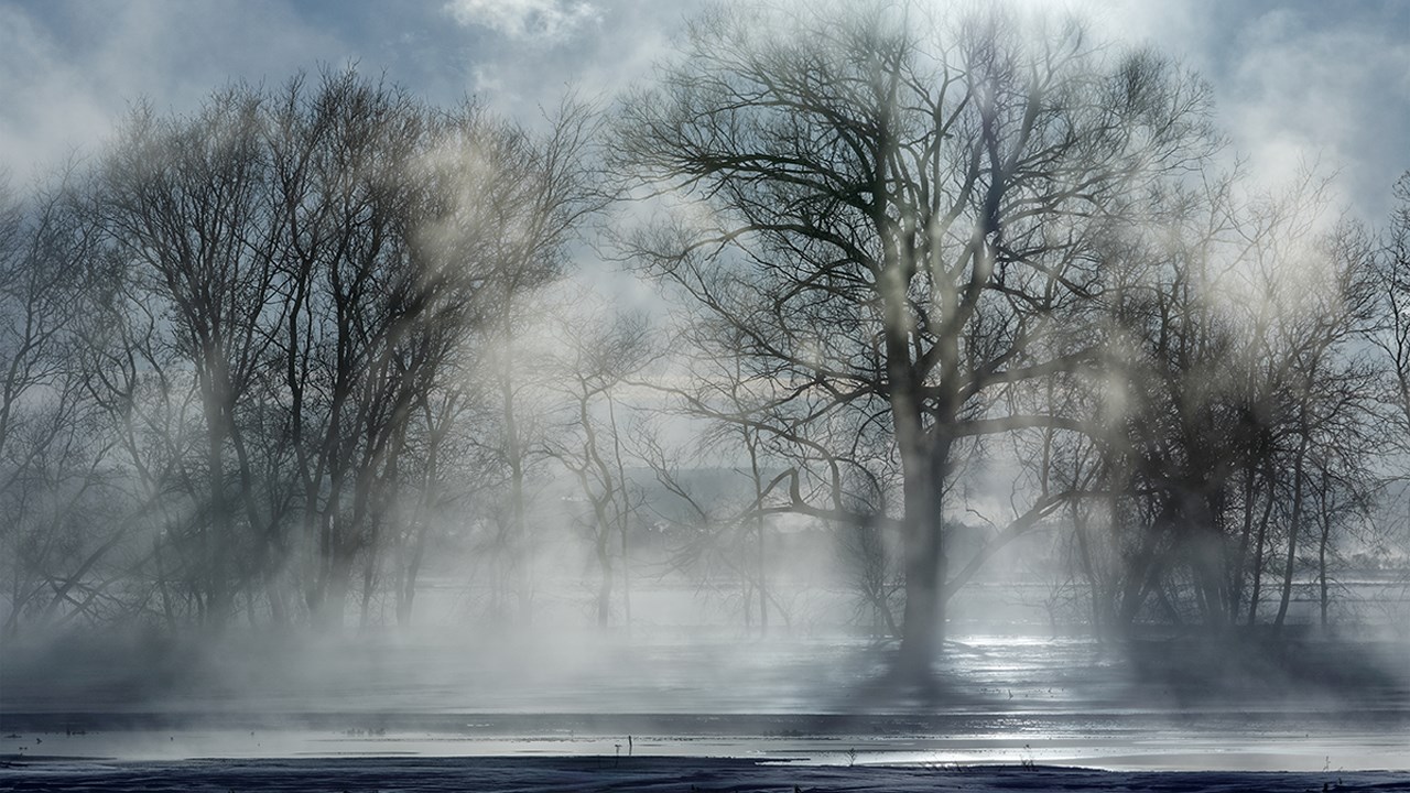 PHOTOS | L'hiver en Beauce dans toute sa splendeur (1 sur 5)