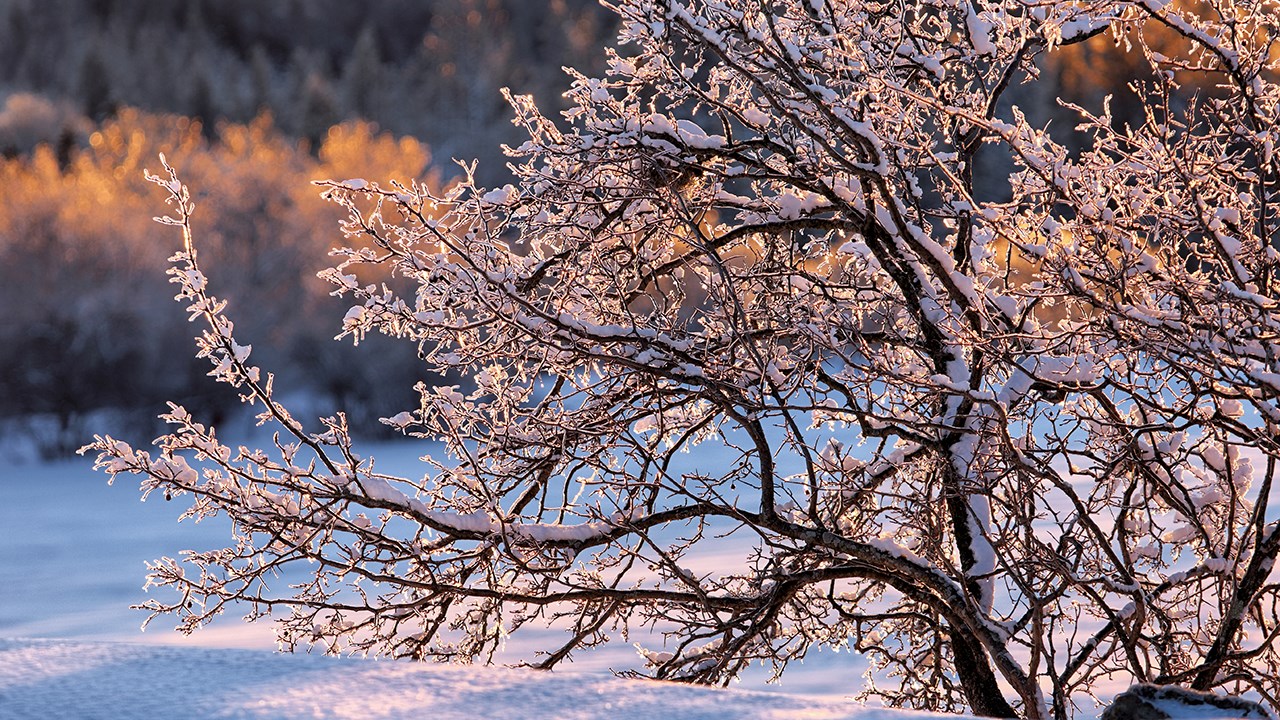 PHOTOS | L'hiver en Beauce dans toute sa splendeur (1 sur 5)