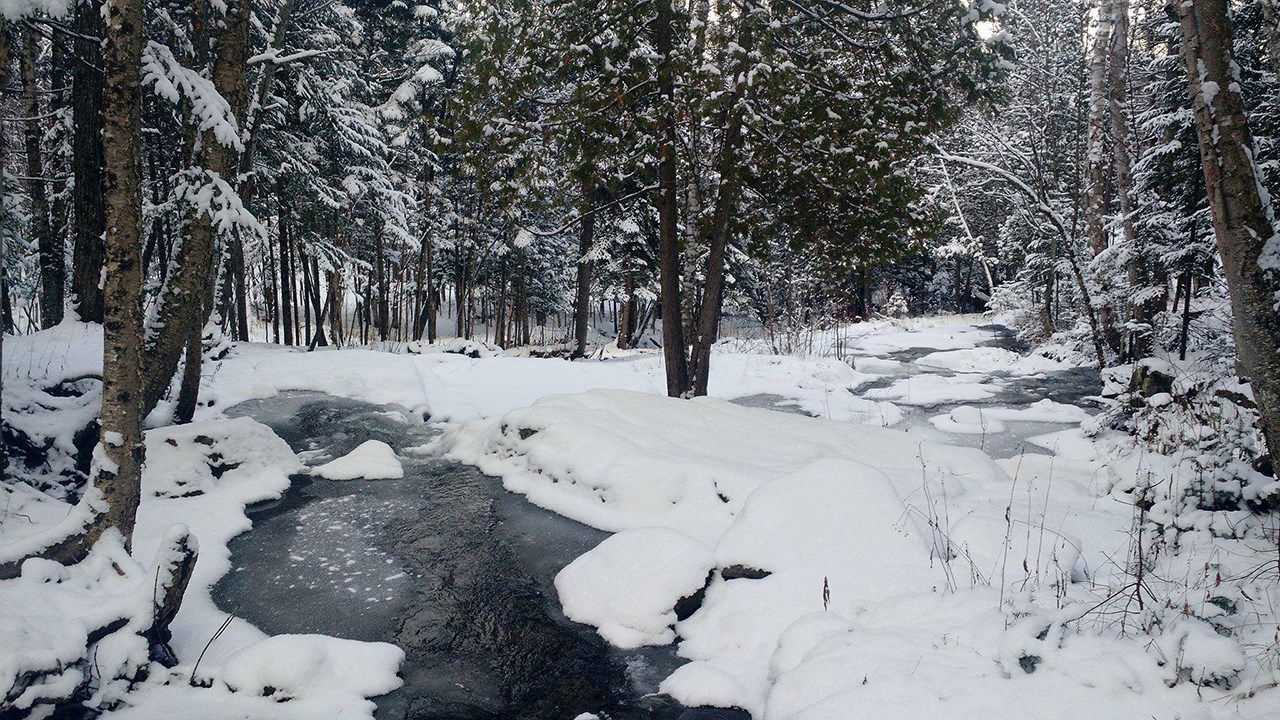 PHOTOS | L'hiver en Beauce dans toute sa splendeur (1 sur 5)