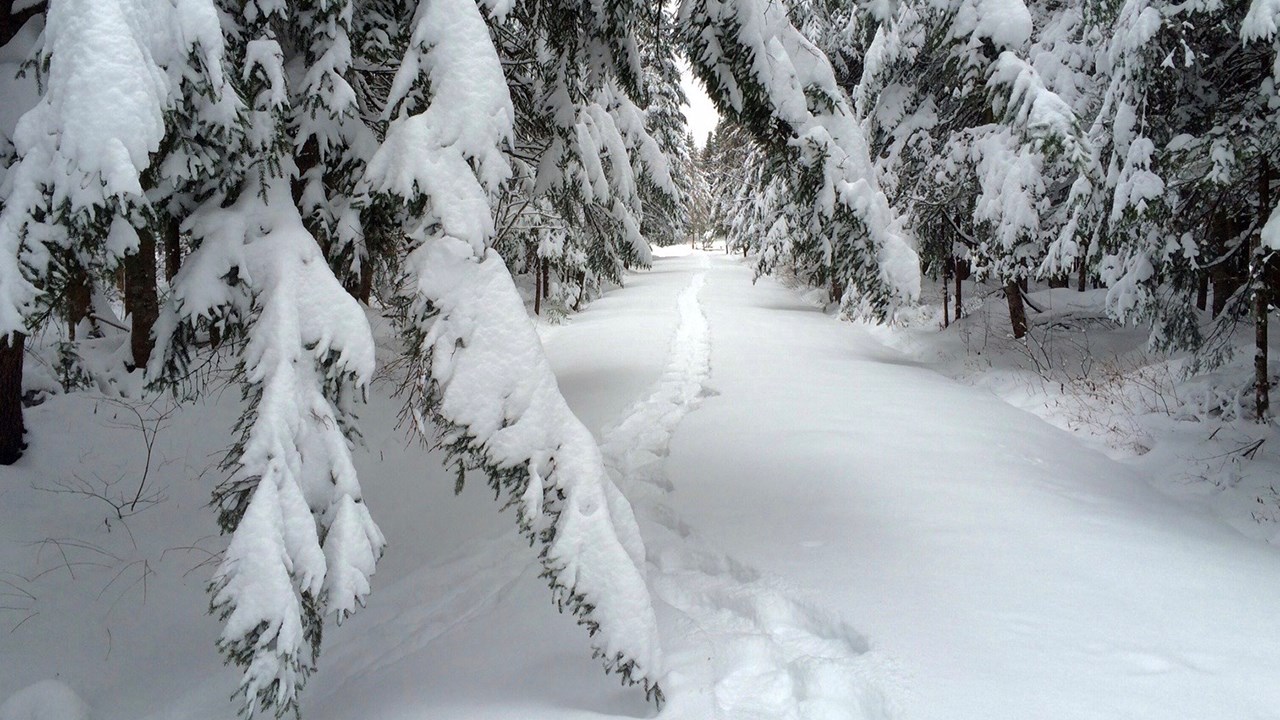 PHOTOS | L'hiver en Beauce dans toute sa splendeur (1 sur 5)