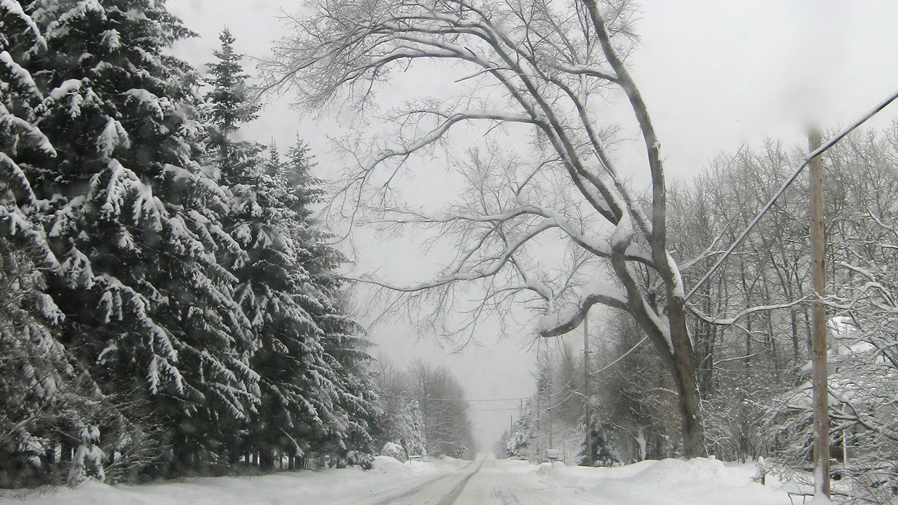 PHOTOS | L'hiver en Beauce dans toute sa splendeur (1 sur 5)