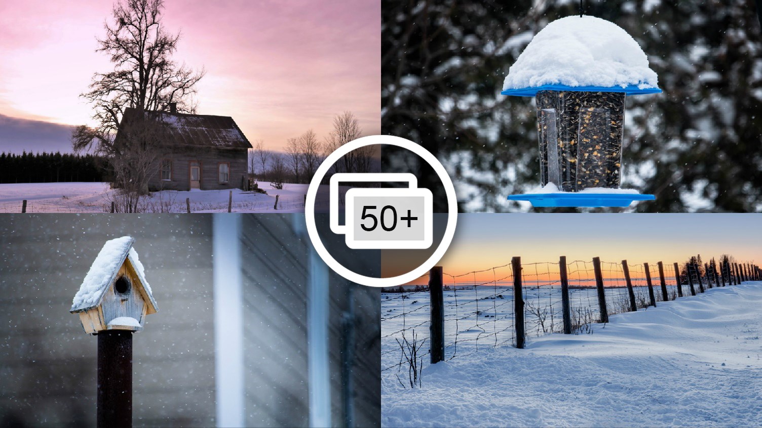 PHOTOS | L'hiver en Beauce dans toute sa splendeur (1 sur 5)