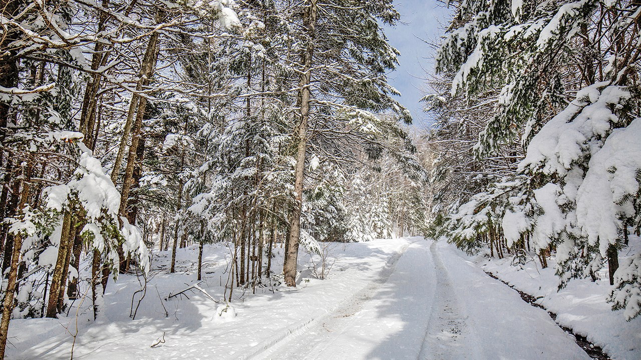 PHOTOS | L'hiver en Beauce dans toute sa splendeur (2 sur 5)