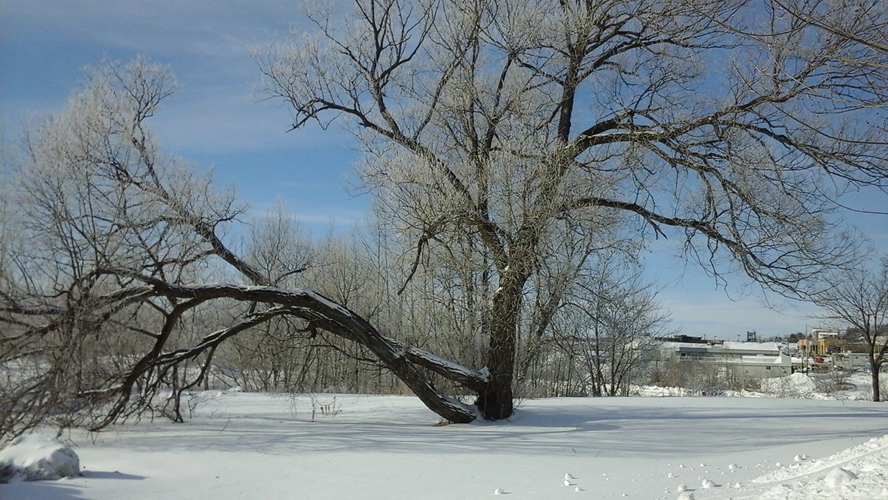 PHOTOS | L'hiver en Beauce dans toute sa splendeur (2 sur 5)