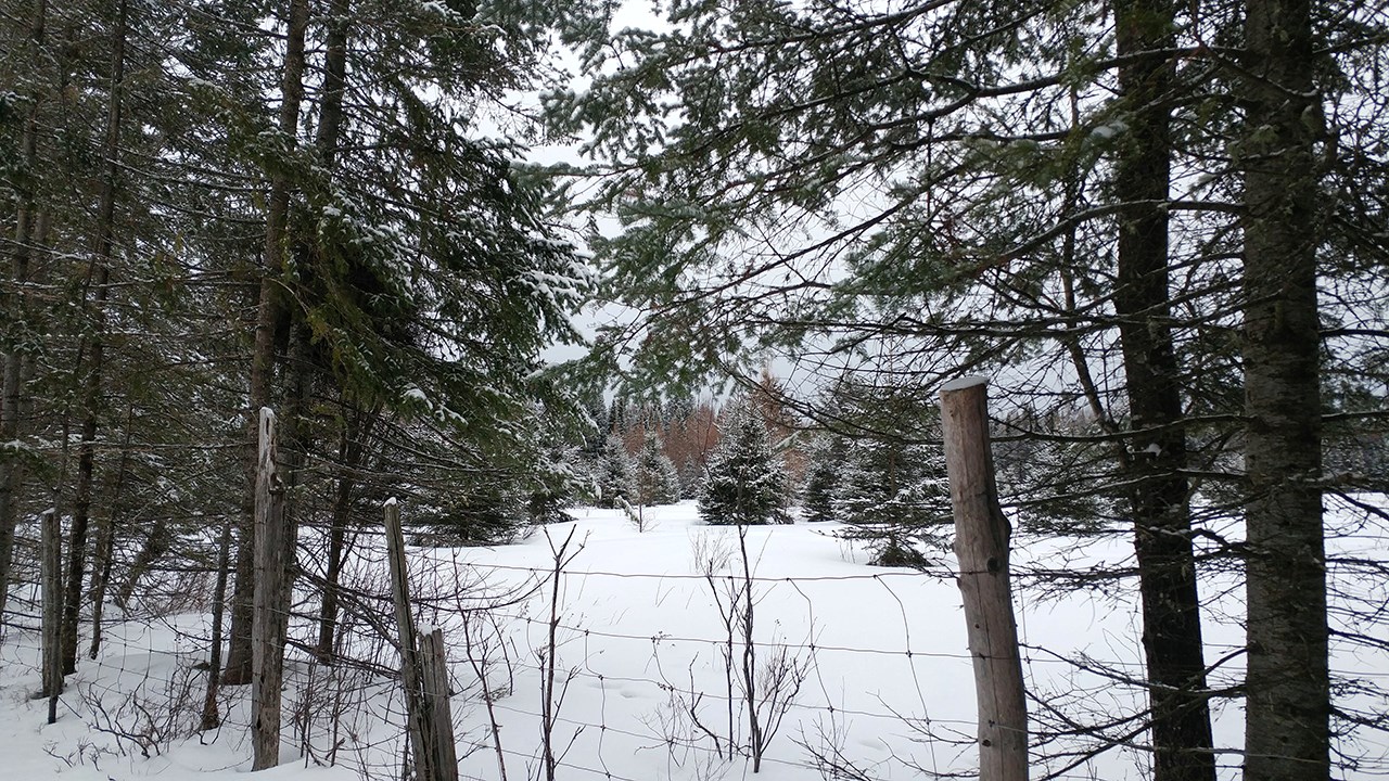 PHOTOS | L'hiver en Beauce dans toute sa splendeur (2 sur 5)