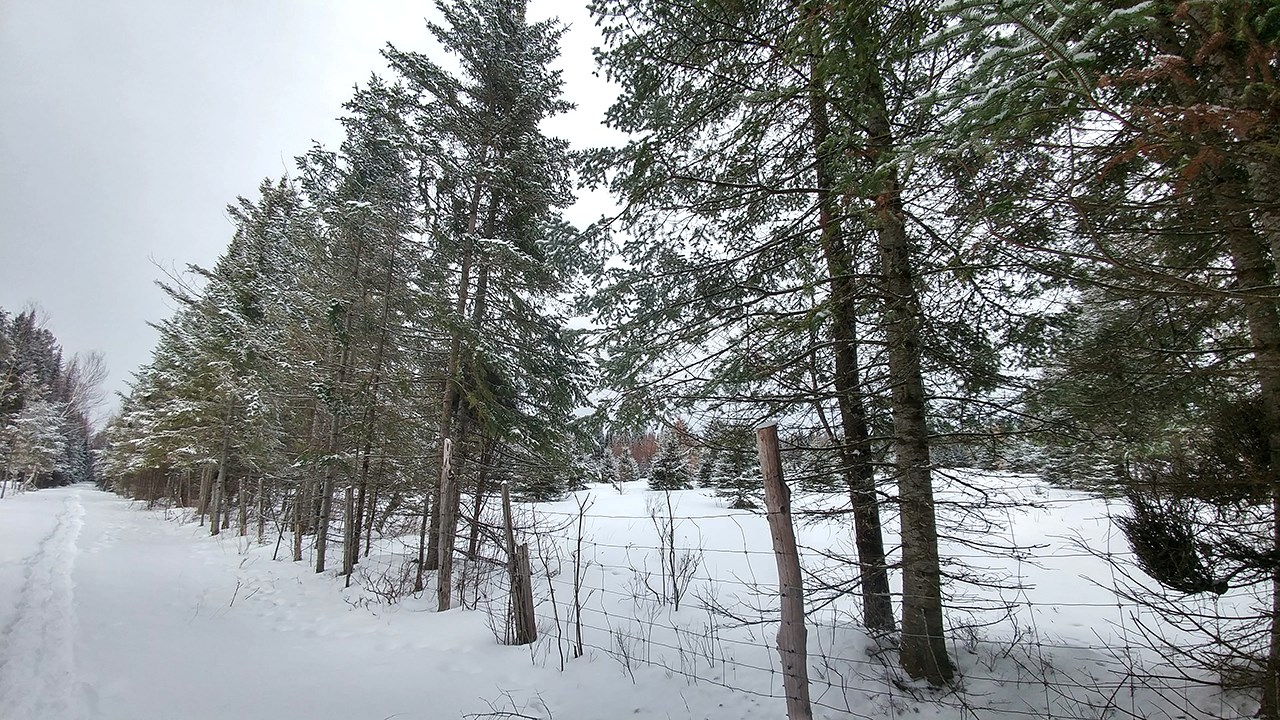 PHOTOS | L'hiver en Beauce dans toute sa splendeur (2 sur 5)