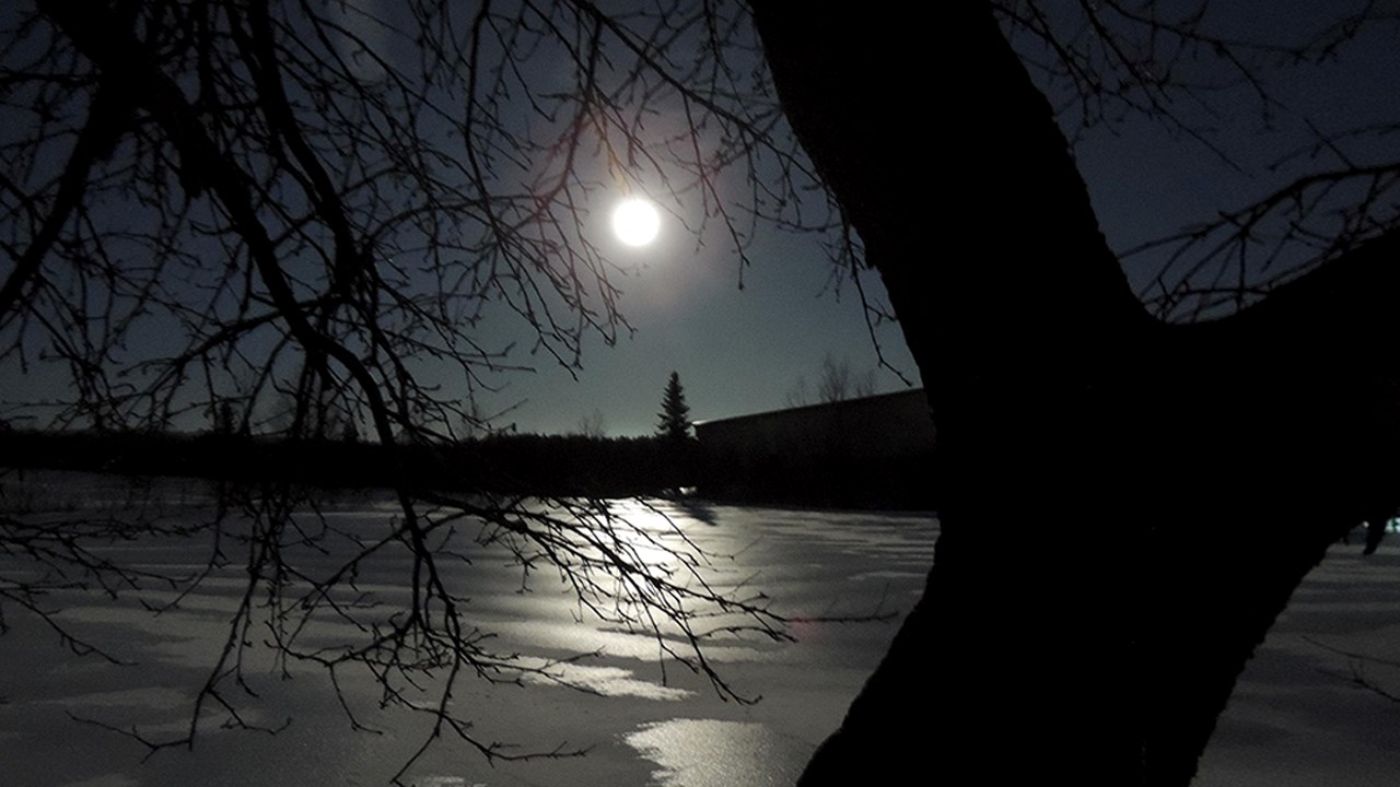 PHOTOS | L'hiver en Beauce dans toute sa splendeur (2 sur 5)