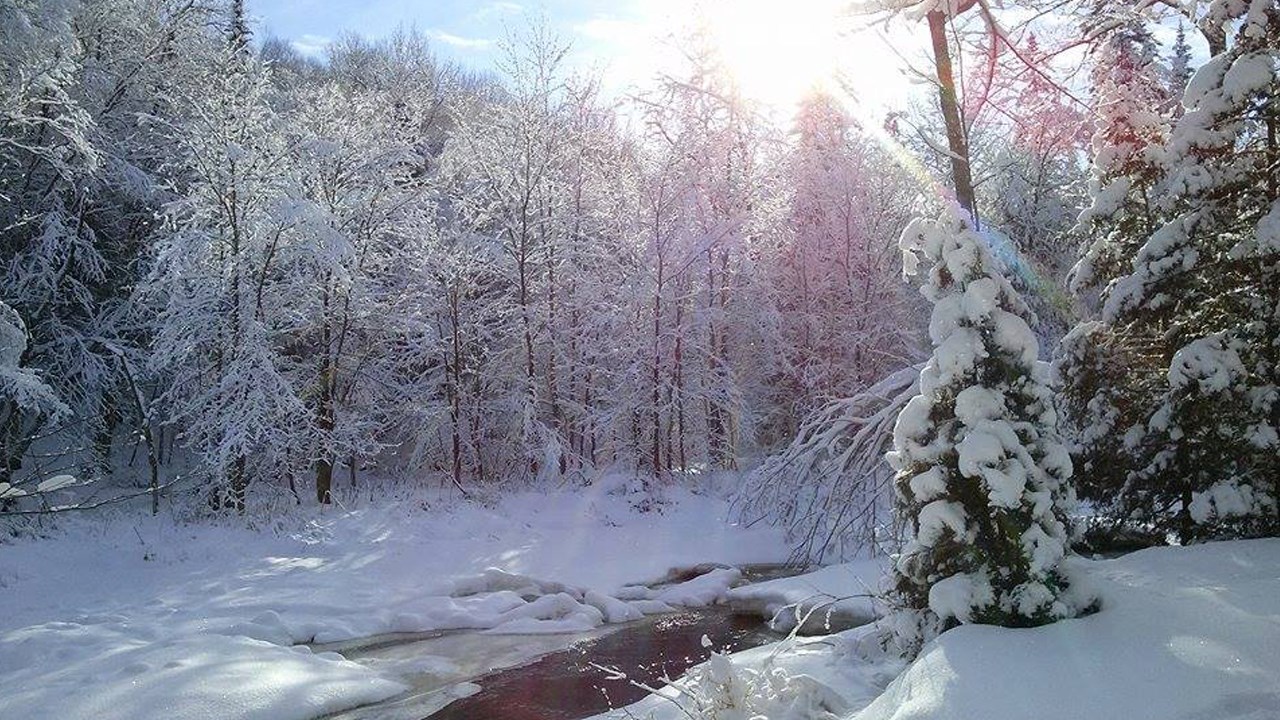 PHOTOS | L'hiver en Beauce dans toute sa splendeur (2 sur 5)
