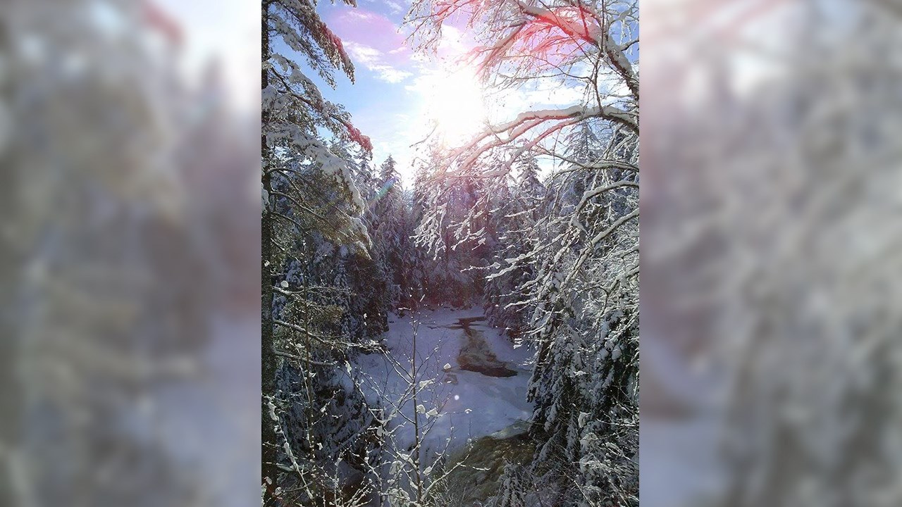 PHOTOS | L'hiver en Beauce dans toute sa splendeur (2 sur 5)