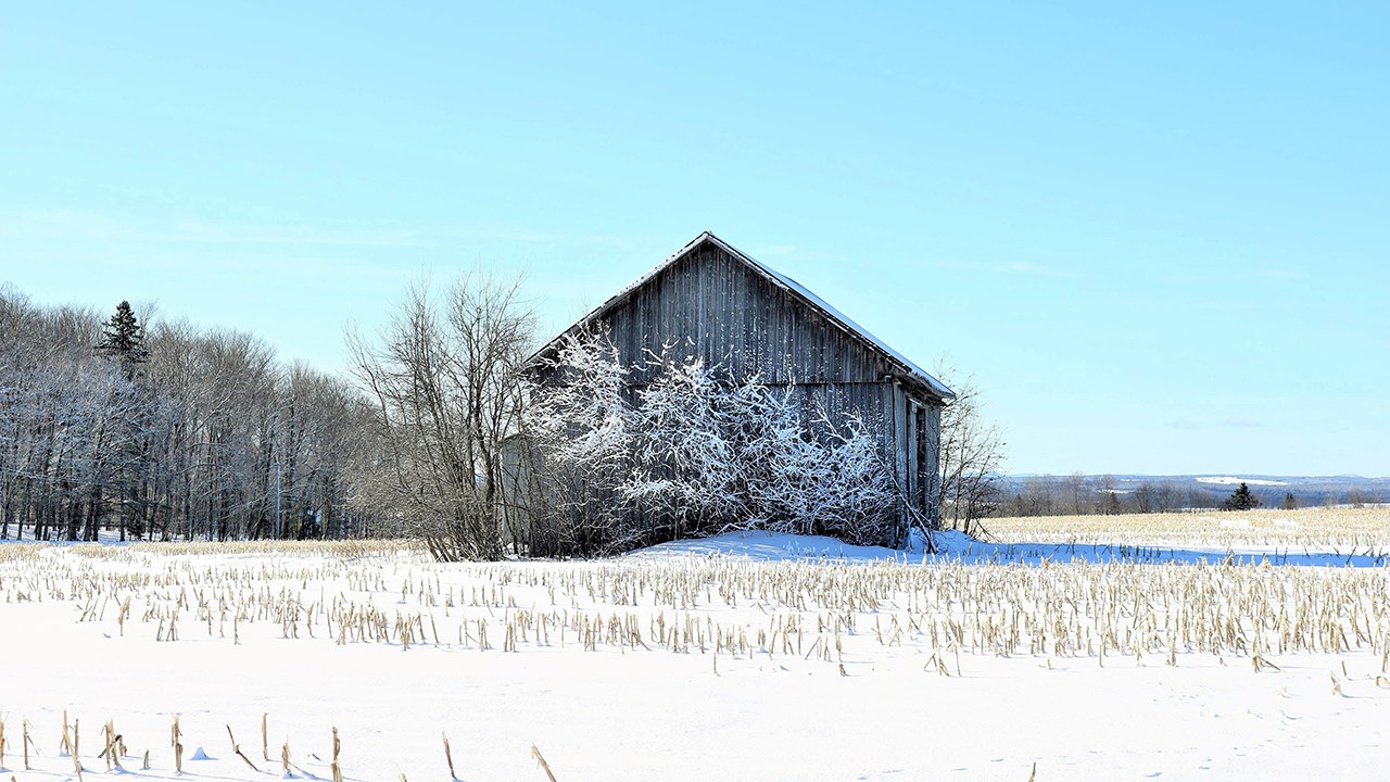 PHOTOS | L'hiver en Beauce dans toute sa splendeur (2 sur 5)