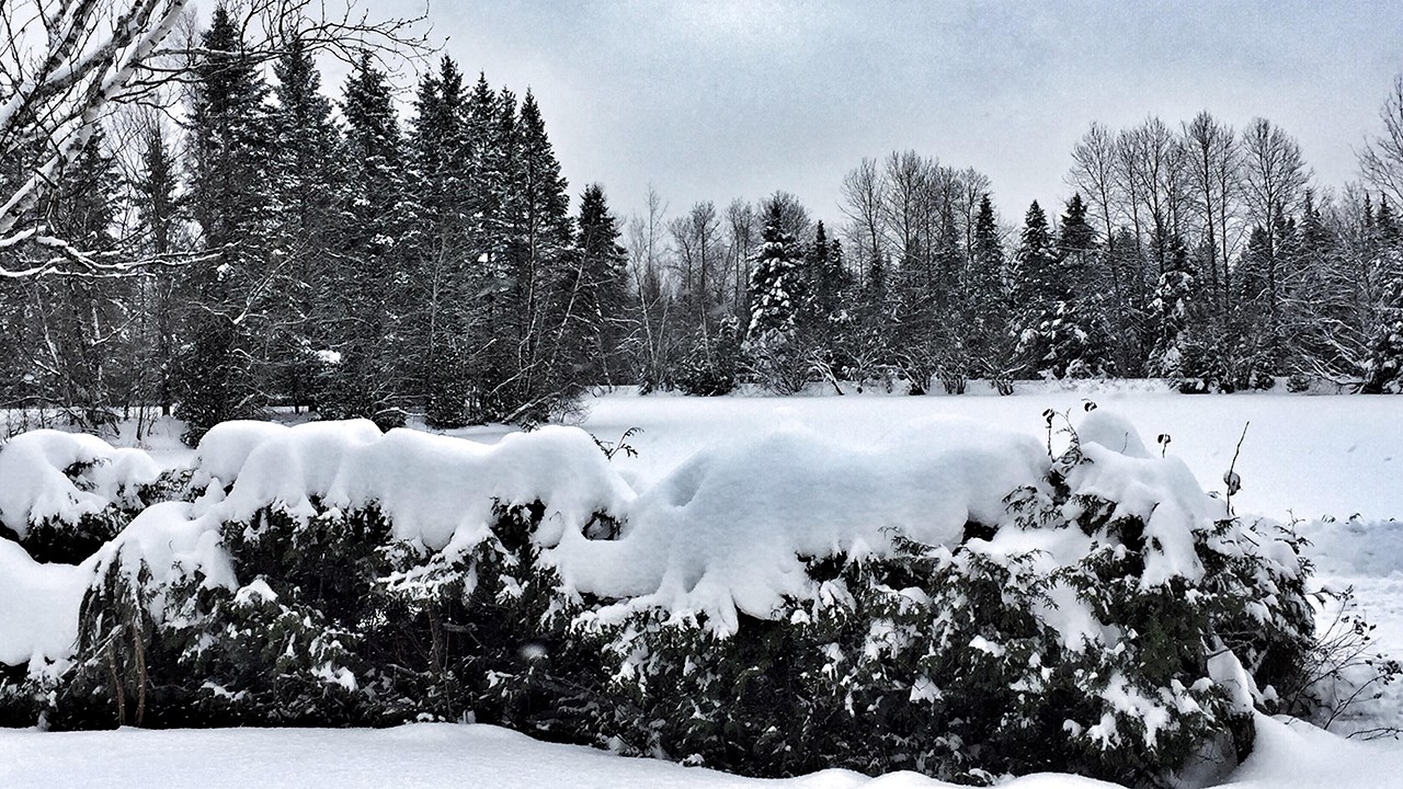 PHOTOS | L'hiver en Beauce dans toute sa splendeur (2 sur 5)