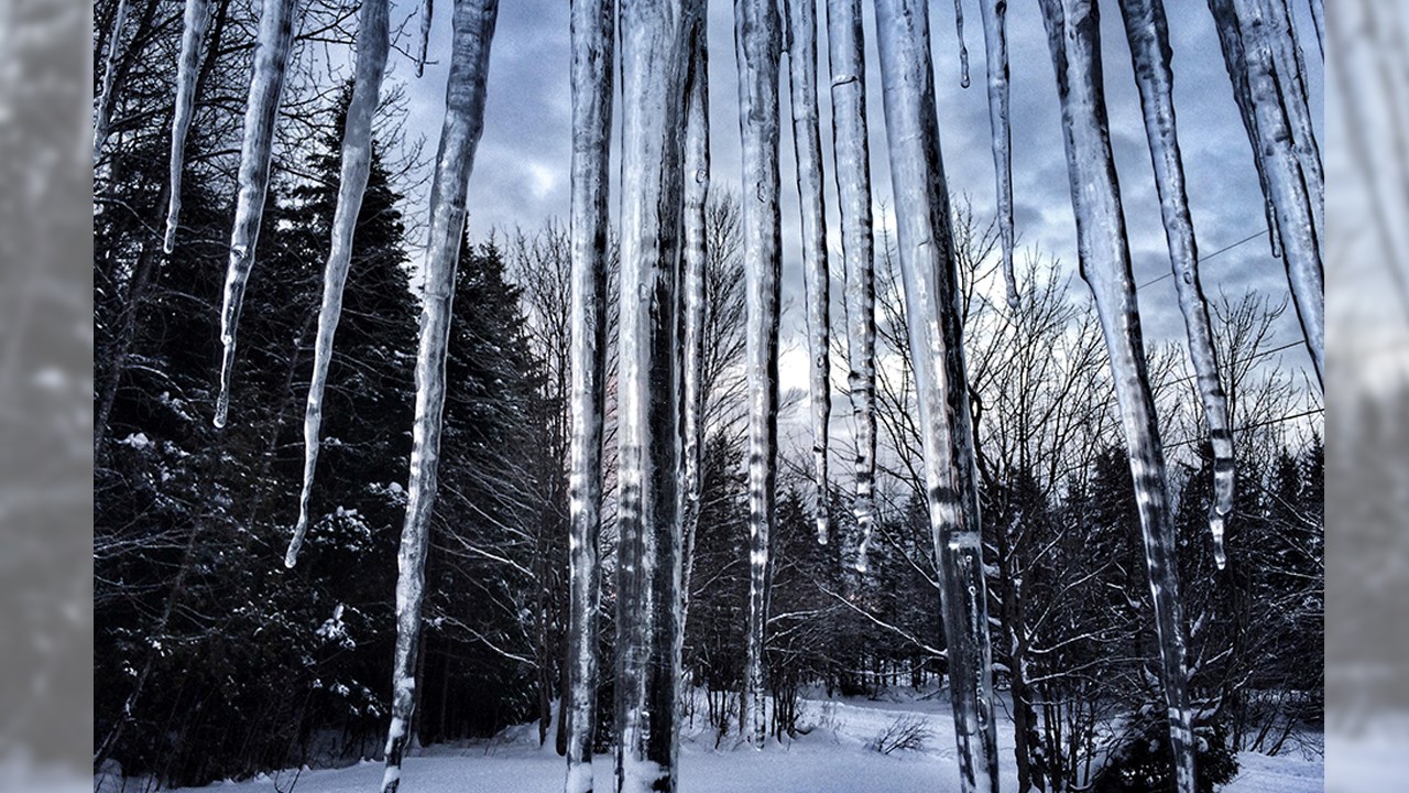 PHOTOS | L'hiver en Beauce dans toute sa splendeur (2 sur 5)