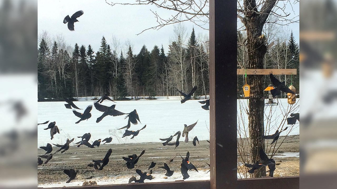 PHOTOS | L'hiver en Beauce dans toute sa splendeur (2 sur 5)