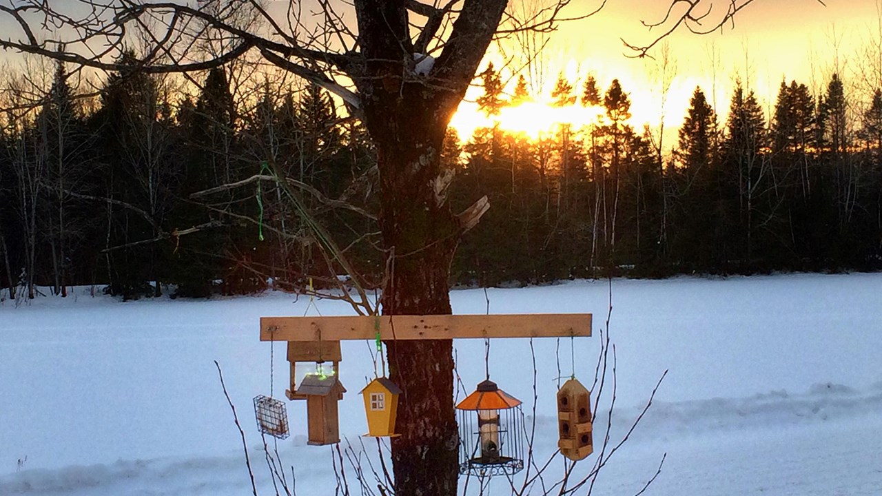 PHOTOS | L'hiver en Beauce dans toute sa splendeur (2 sur 5)