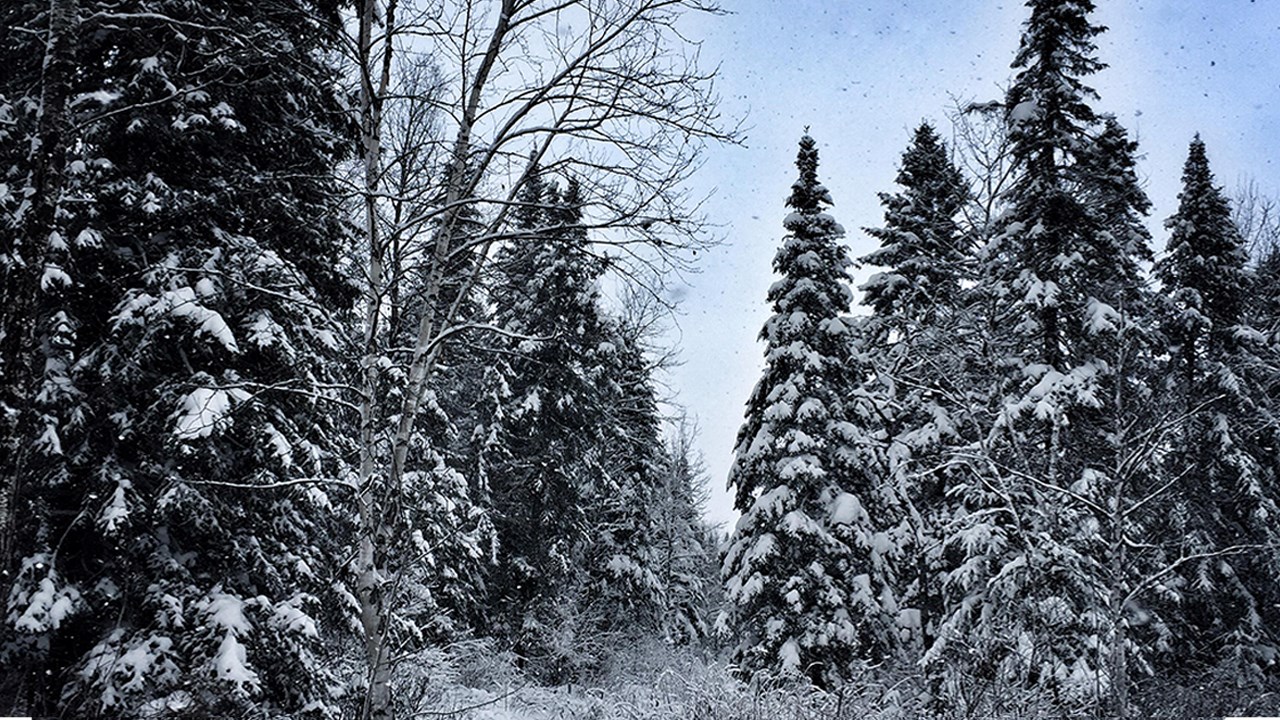 PHOTOS | L'hiver en Beauce dans toute sa splendeur (2 sur 5)