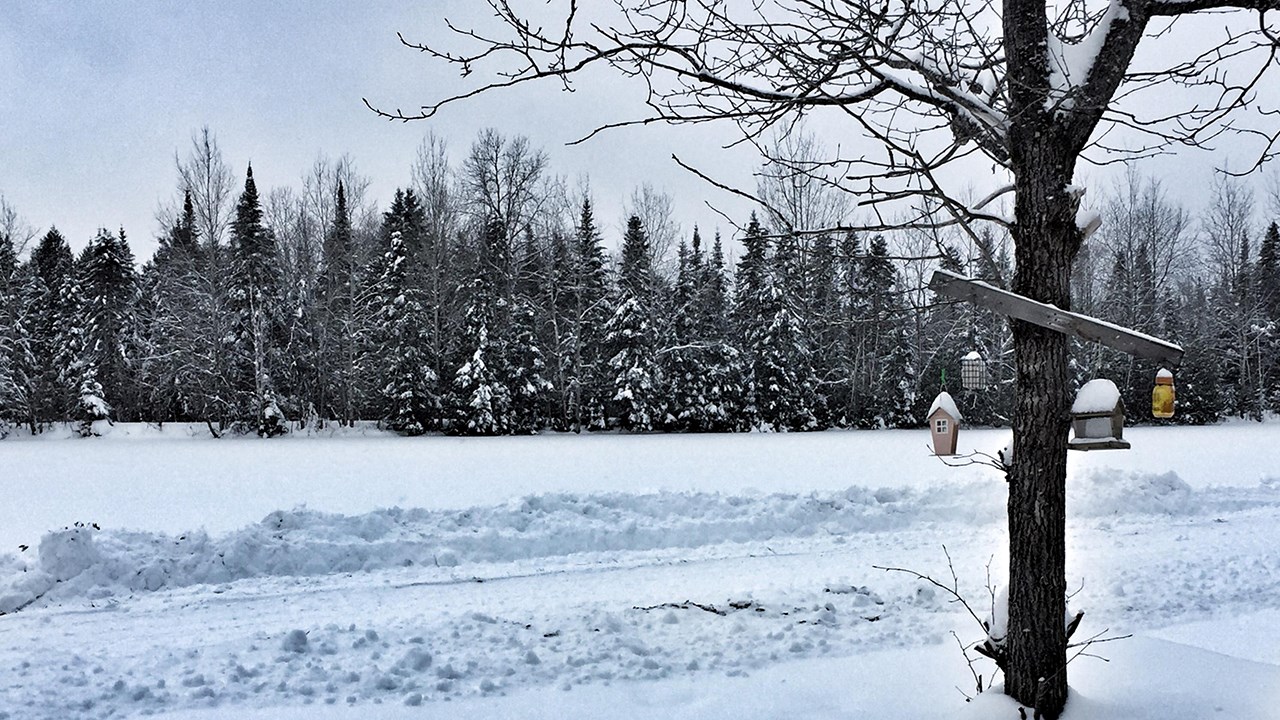 PHOTOS | L'hiver en Beauce dans toute sa splendeur (2 sur 5)