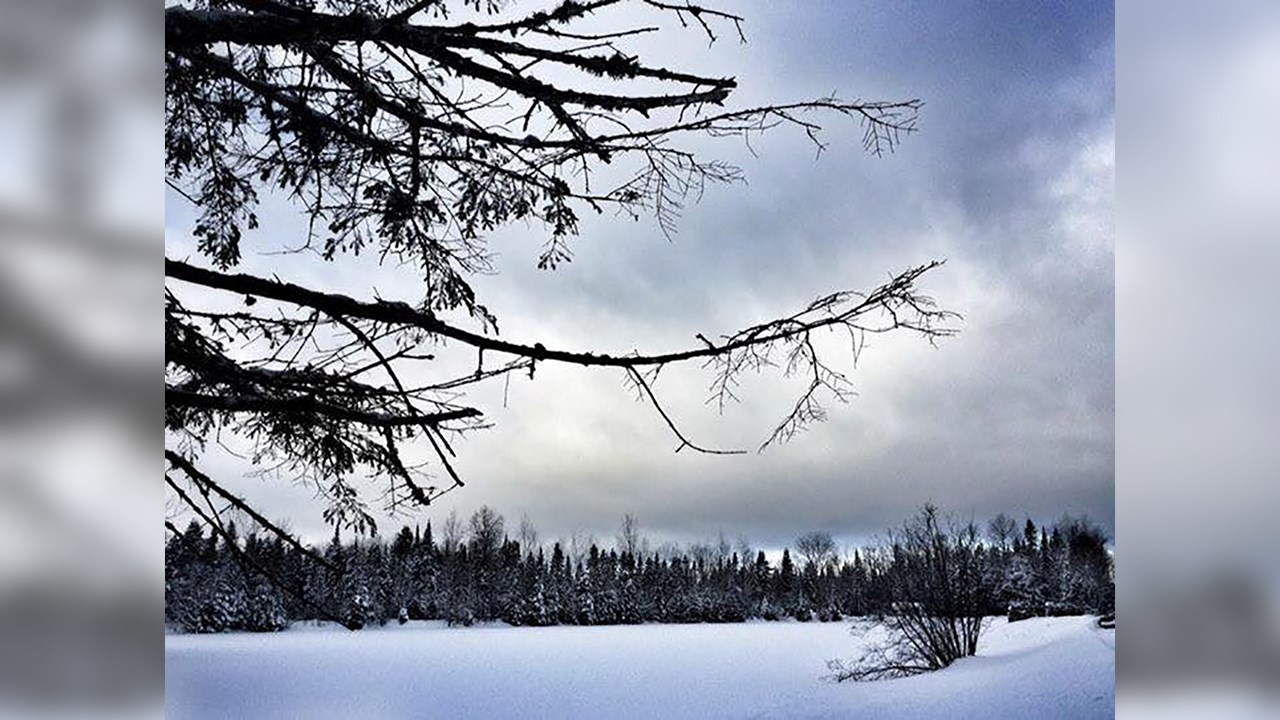 PHOTOS | L'hiver en Beauce dans toute sa splendeur (2 sur 5)