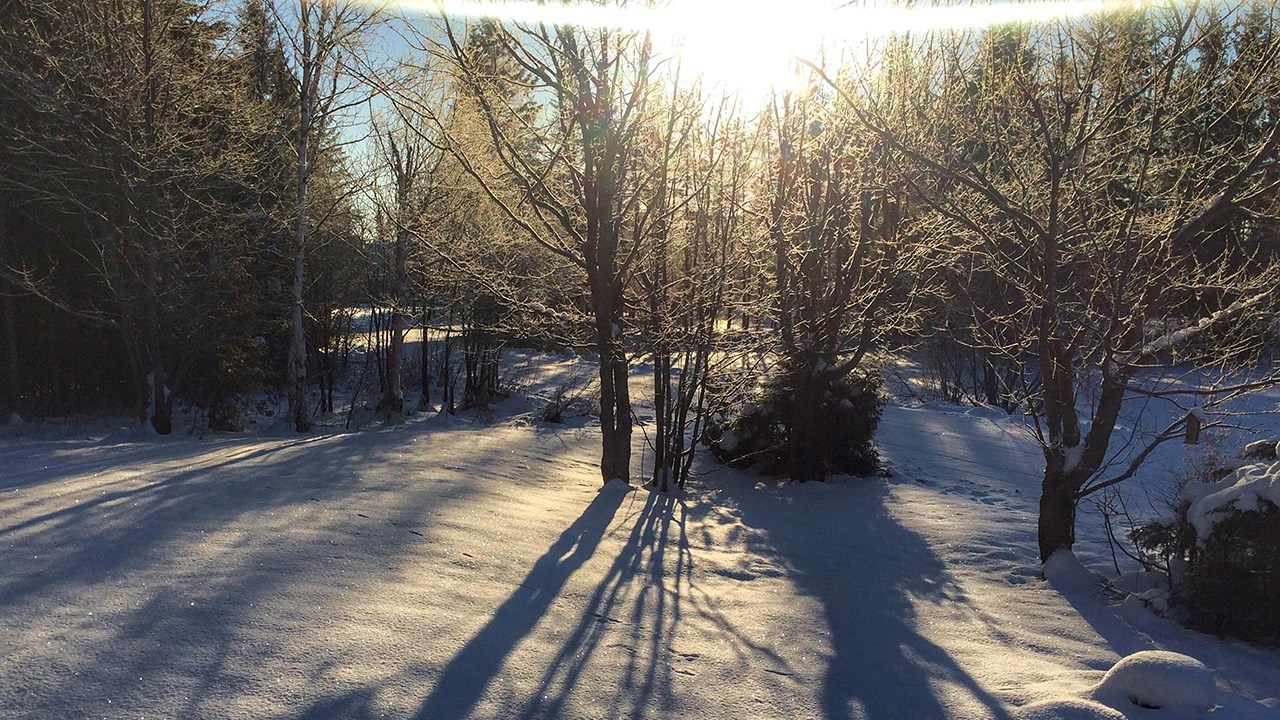 PHOTOS | L'hiver en Beauce dans toute sa splendeur (2 sur 5)