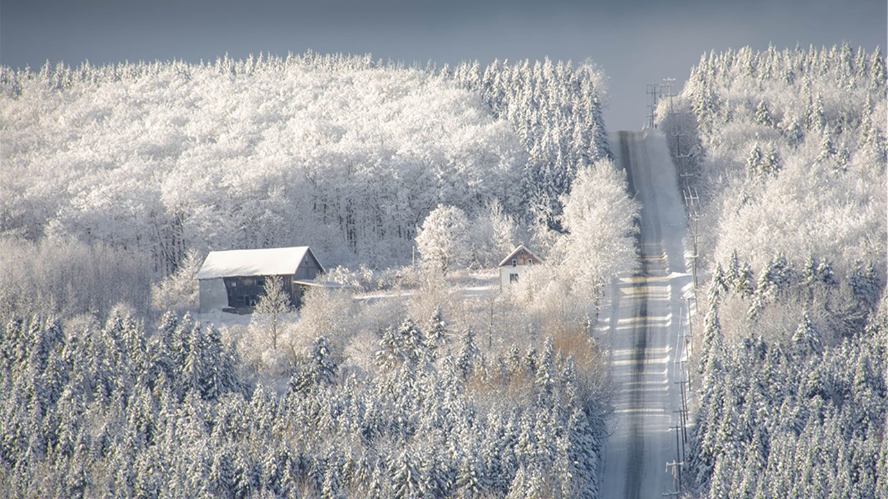PHOTOS | L'hiver en Beauce dans toute sa splendeur (2 sur 5)