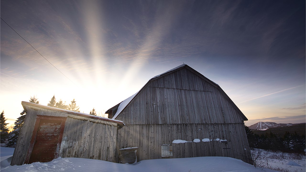 PHOTOS | L'hiver en Beauce dans toute sa splendeur (2 sur 5)
