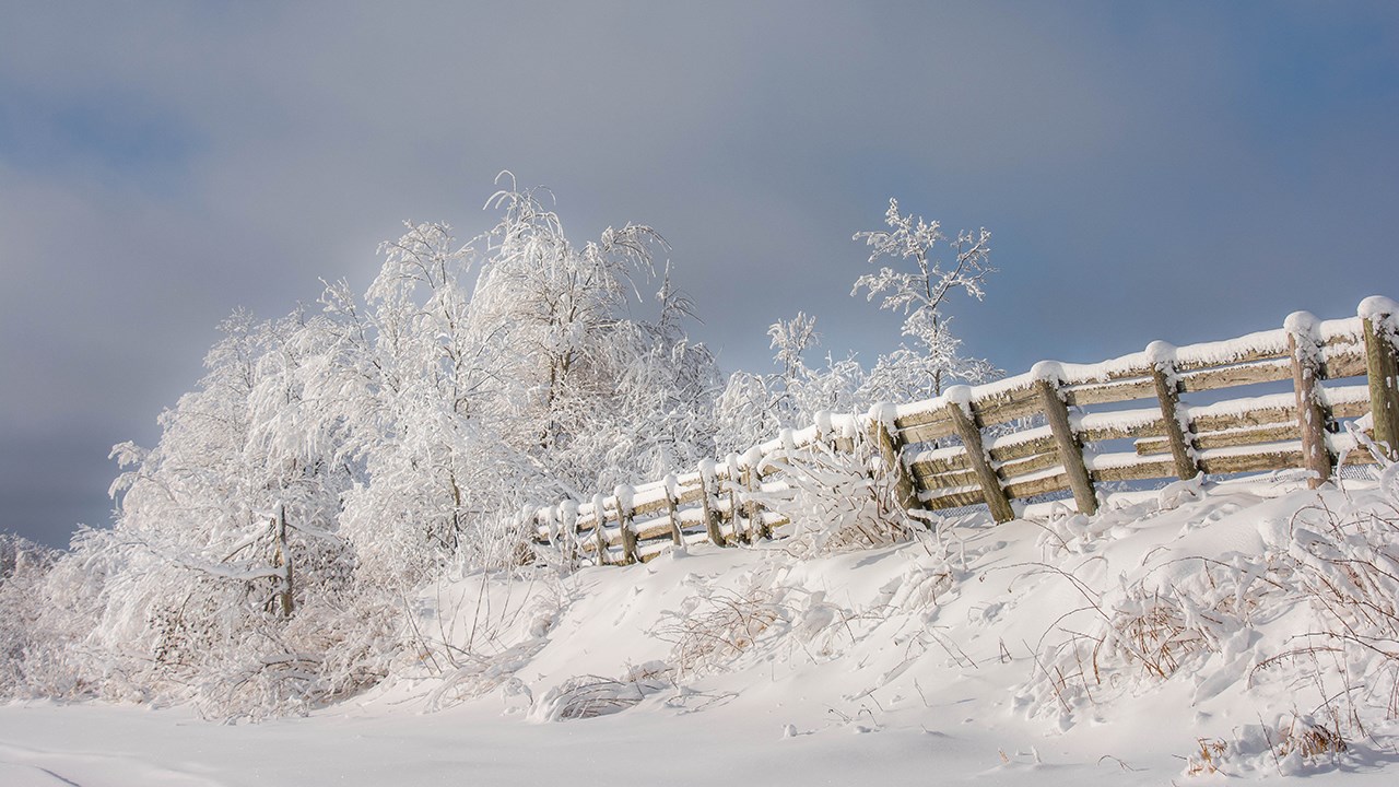 PHOTOS | L'hiver en Beauce dans toute sa splendeur (2 sur 5)