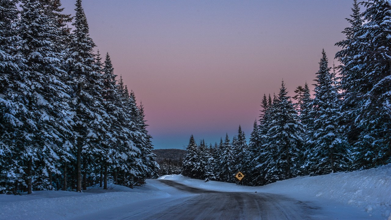 PHOTOS | L'hiver en Beauce dans toute sa splendeur (2 sur 5)
