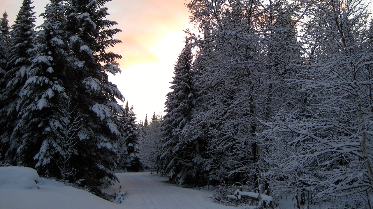 PHOTOS | L'hiver en Beauce dans toute sa splendeur (2 sur 5)
