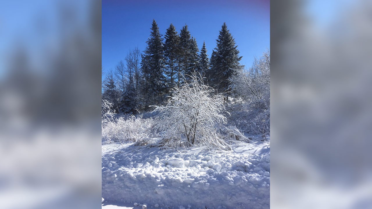 PHOTOS | L'hiver en Beauce dans toute sa splendeur (4 sur 5)