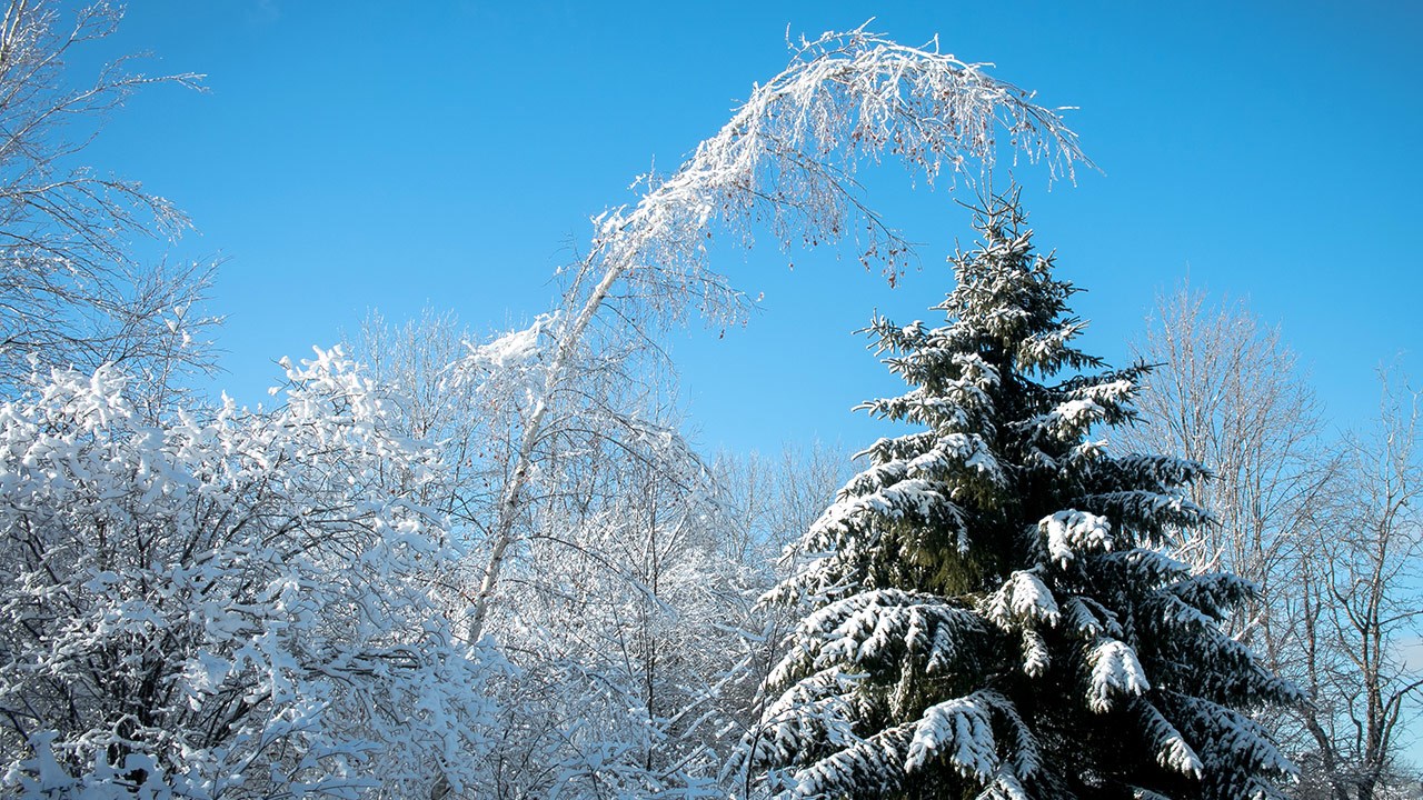 PHOTOS | L'hiver en Beauce dans toute sa splendeur (4 sur 5)