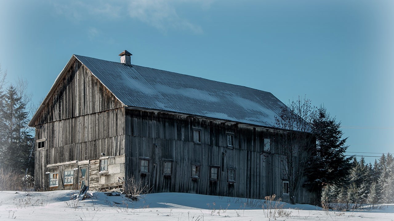 PHOTOS | L'hiver en Beauce dans toute sa splendeur (4 sur 5)