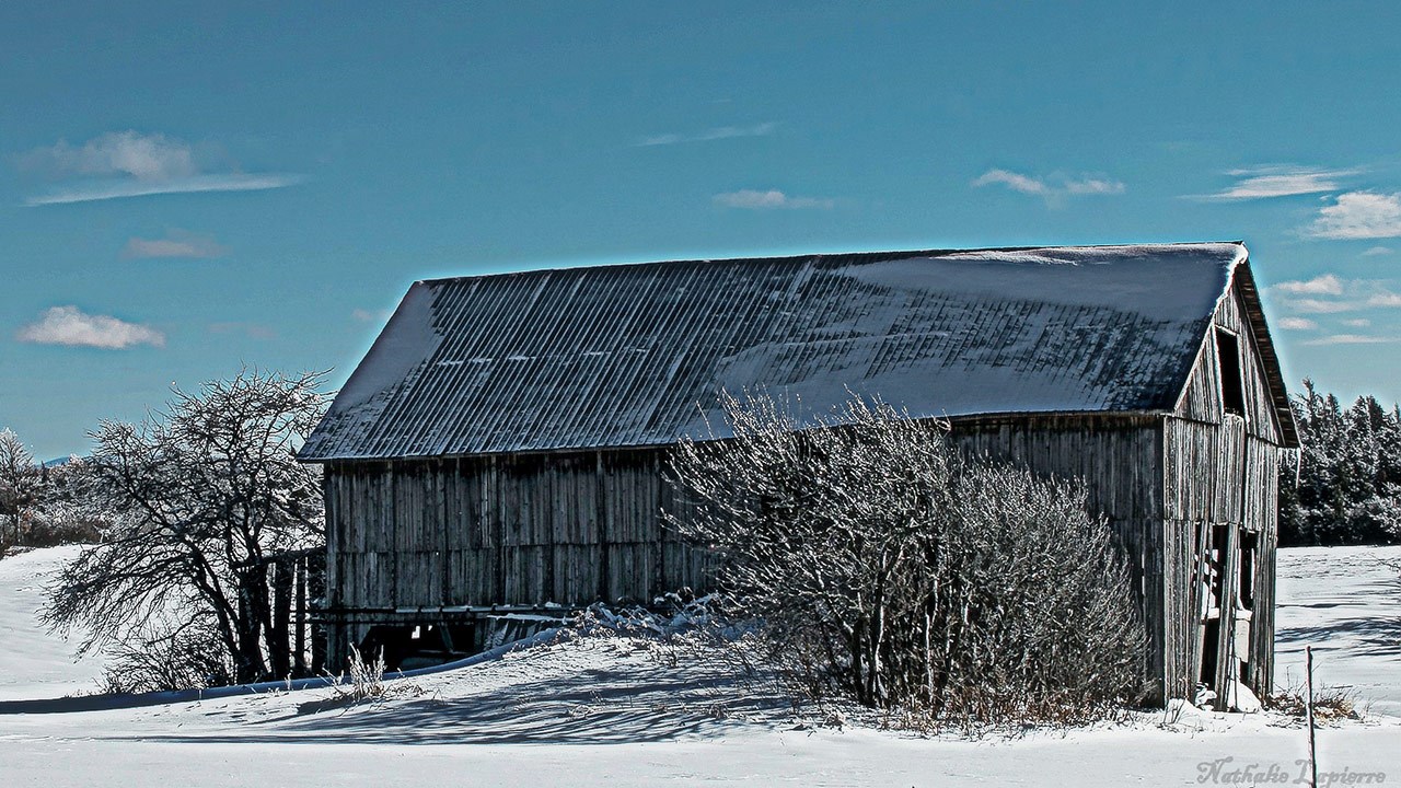 PHOTOS | L'hiver en Beauce dans toute sa splendeur (4 sur 5)