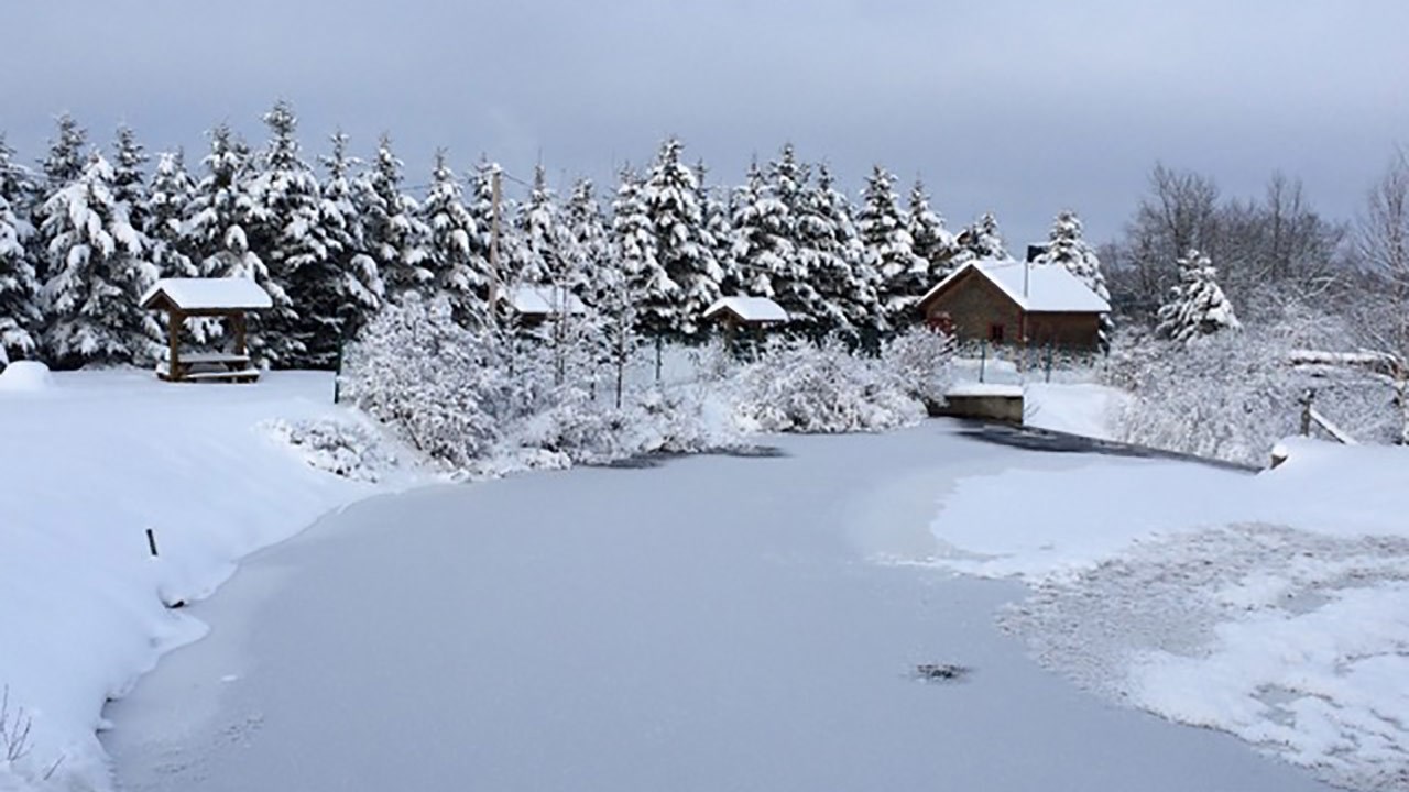 PHOTOS | L'hiver en Beauce dans toute sa splendeur (4 sur 5)