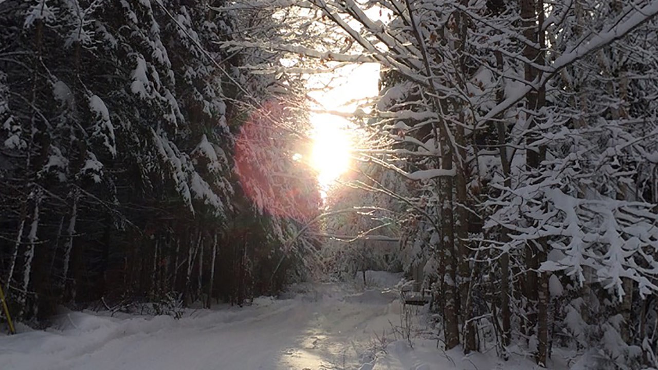 PHOTOS | L'hiver en Beauce dans toute sa splendeur (4 sur 5)