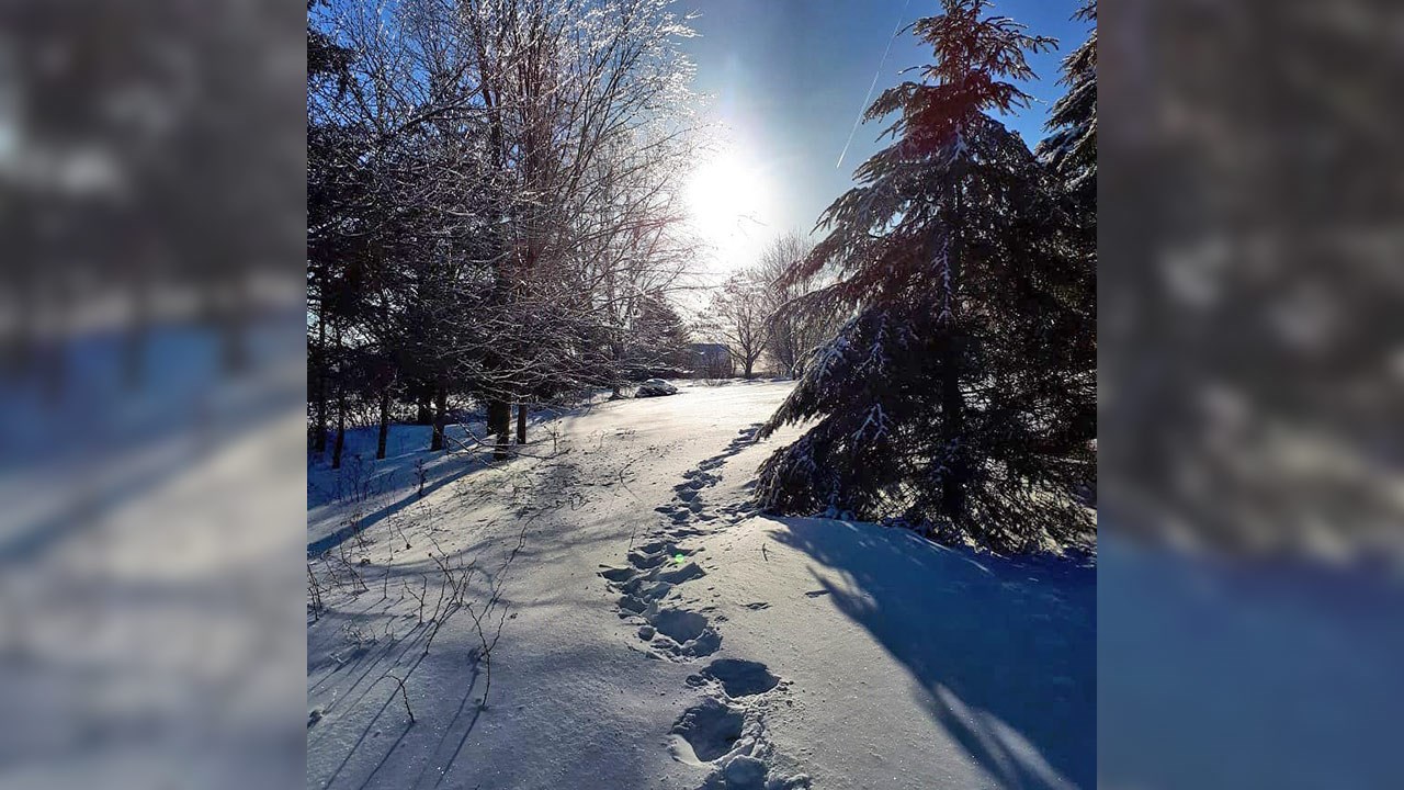 PHOTOS | L'hiver en Beauce dans toute sa splendeur (4 sur 5)