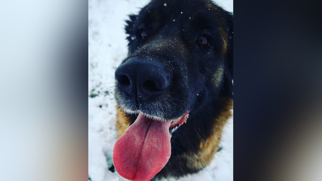 PHOTOS | L'hiver en Beauce dans toute sa splendeur (4 sur 5)