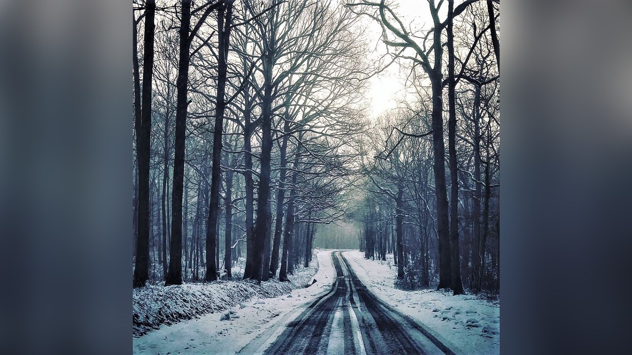 PHOTOS | L'hiver en Beauce dans toute sa splendeur (4 sur 5)