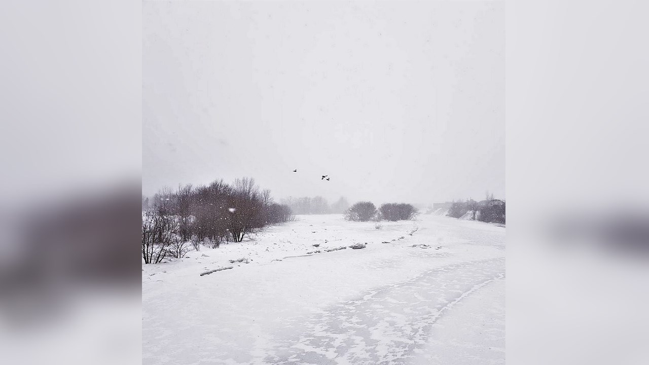 PHOTOS | L'hiver en Beauce dans toute sa splendeur (4 sur 5)