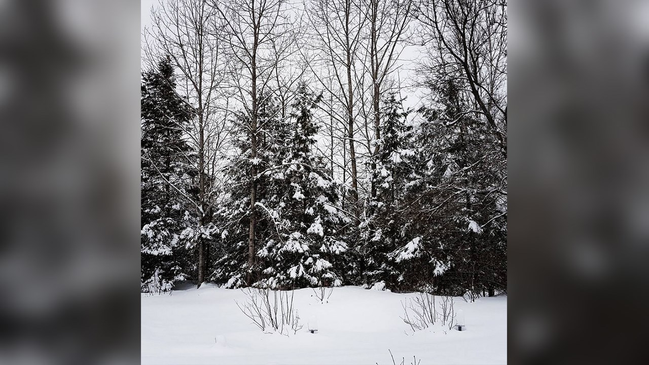 PHOTOS | L'hiver en Beauce dans toute sa splendeur (4 sur 5)