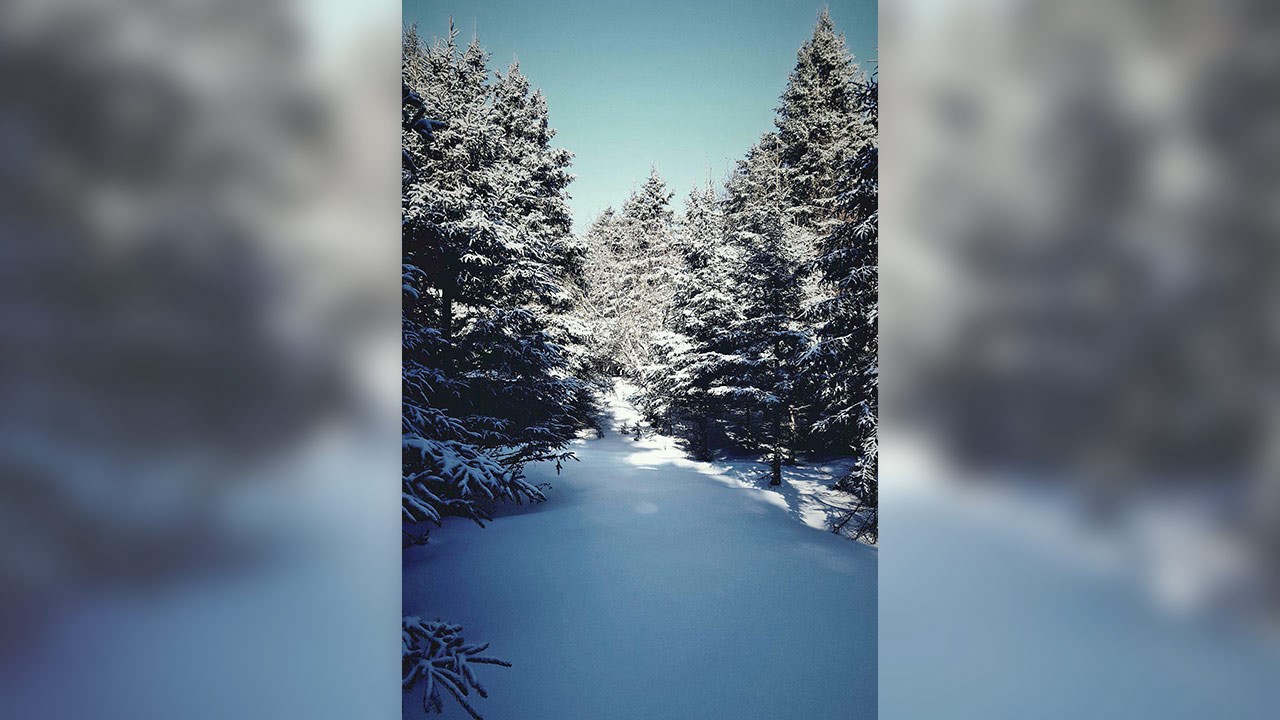 PHOTOS | L'hiver en Beauce dans toute sa splendeur (4 sur 5)
