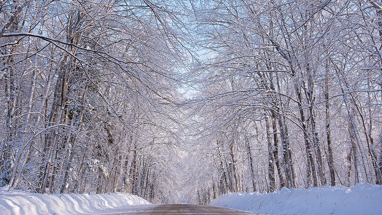 PHOTOS | L'hiver en Beauce dans toute sa splendeur (4 sur 5)