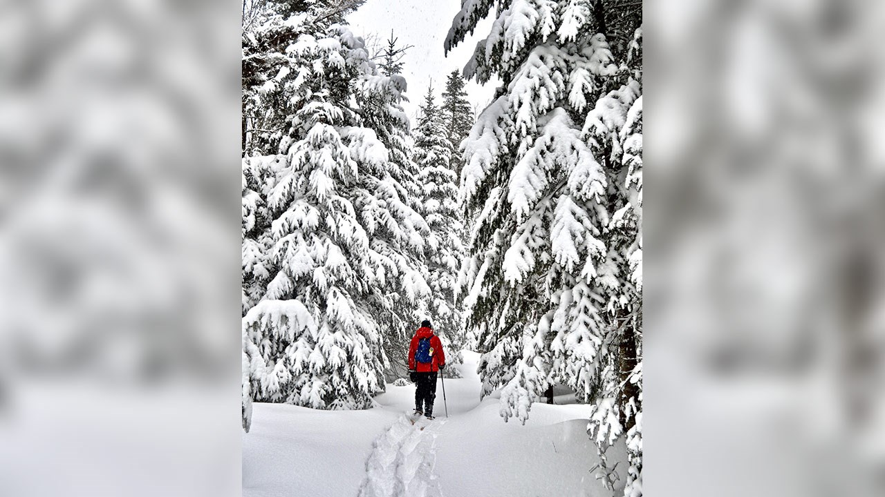 PHOTOS | L'hiver en Beauce dans toute sa splendeur (4 sur 5)