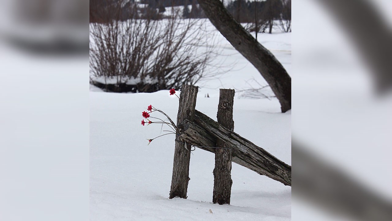 PHOTOS | L'hiver en Beauce dans toute sa splendeur (4 sur 5)