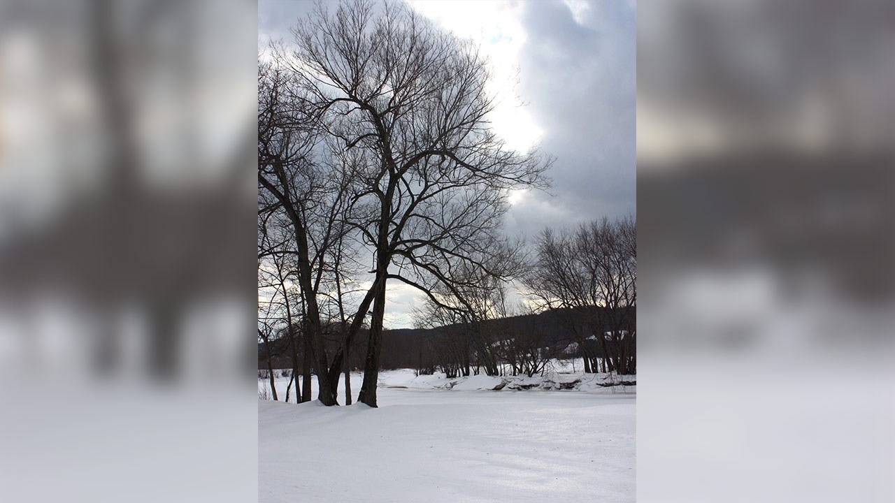 PHOTOS | L'hiver en Beauce dans toute sa splendeur (4 sur 5)